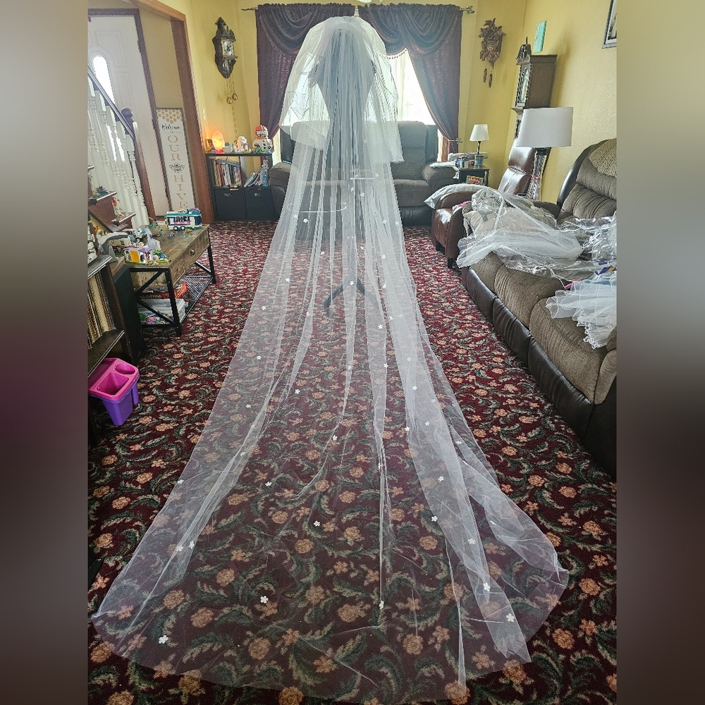 NWT Cathedral Length White Veil